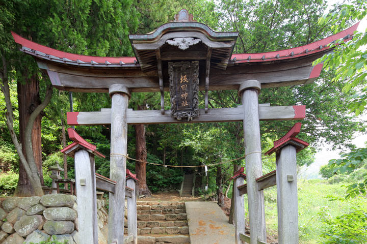 Sakata jinja