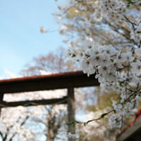 長田神社 長野市若穂川田1047 2 おみやさんcom